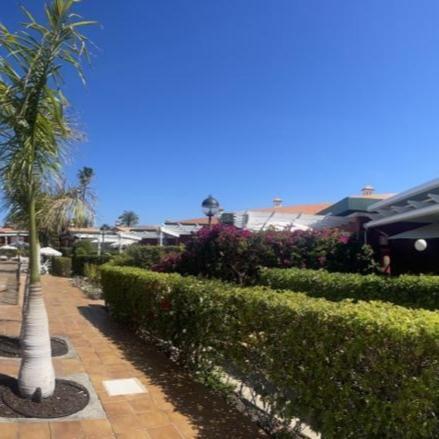 Bungalow Verdemar Maspalomas Maspalomas (Gran Canaria) Exterior foto